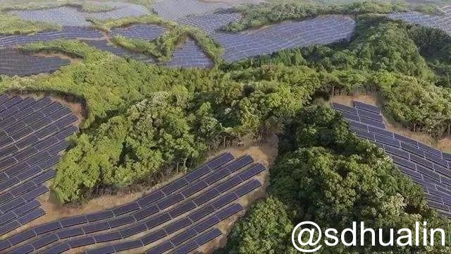 “光伏+農(nóng)業(yè)”八大模式 你了解多少？