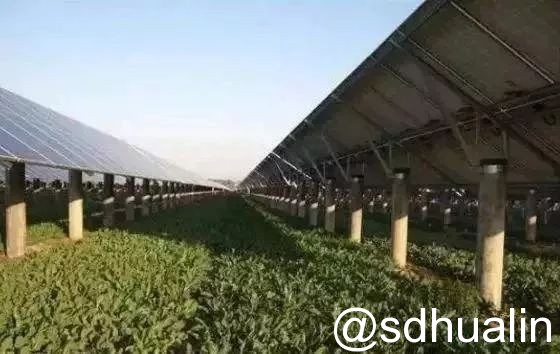 “光伏+農(nóng)業(yè)”八大模式 你了解多少？
