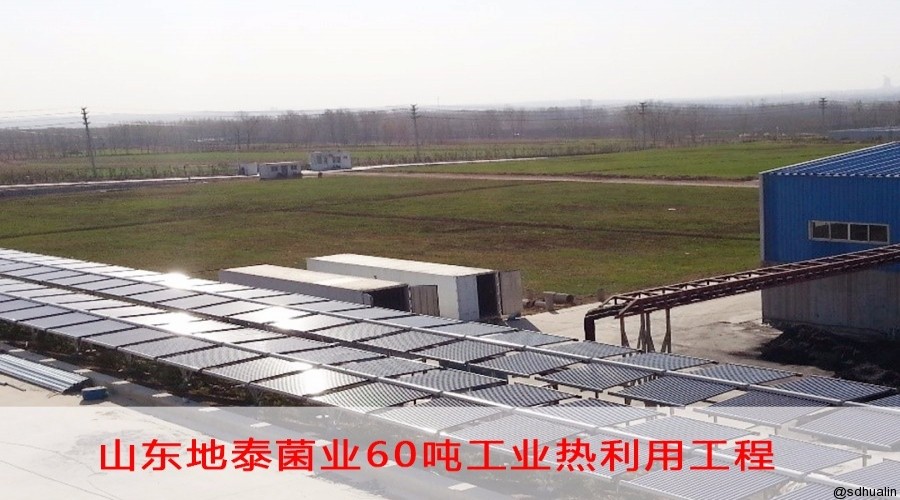 山東地泰菌業(yè)有限公司